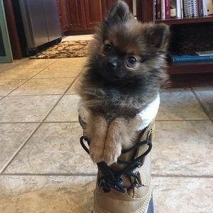 Meet your Posher, Chloe